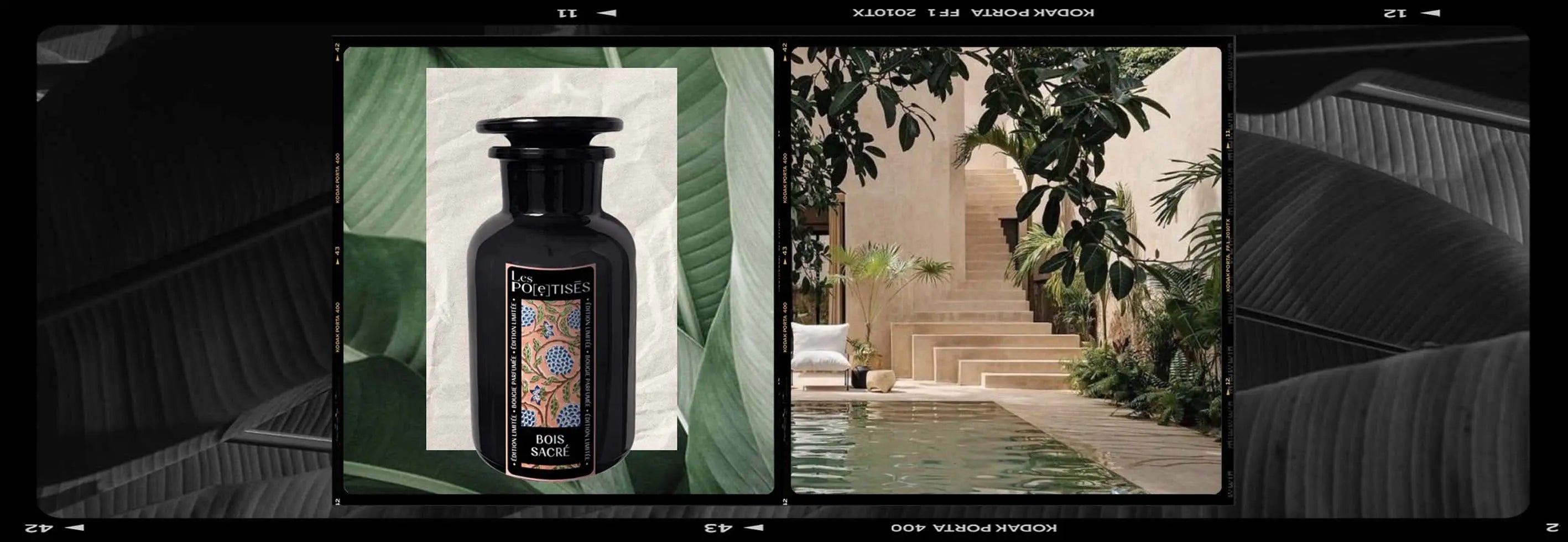 LesPoetises-bougie-parfumee-cedre-jardin-boise-nature