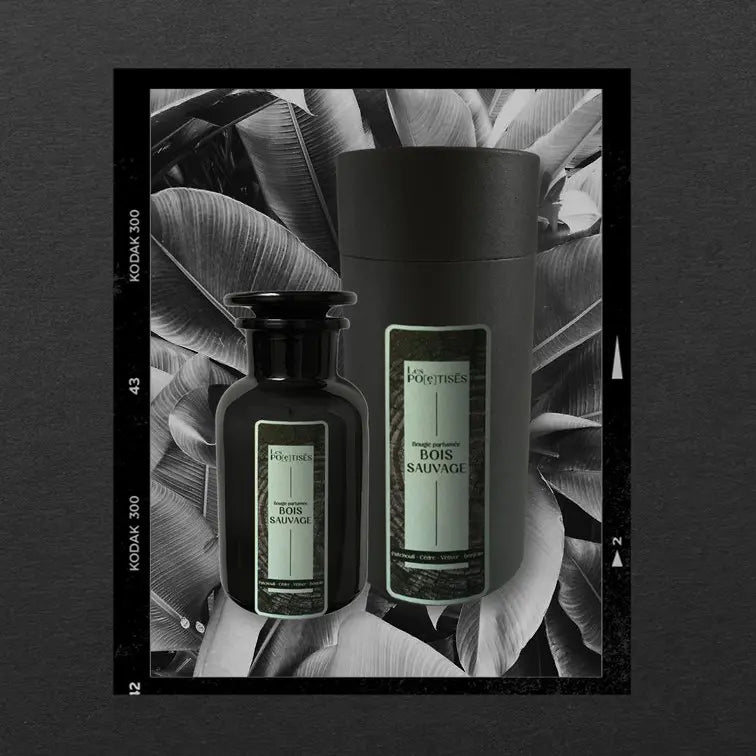 Les Poétisés bougie parfumée bois sauvage pack